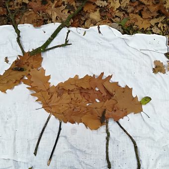Zvířátka z listí v listí