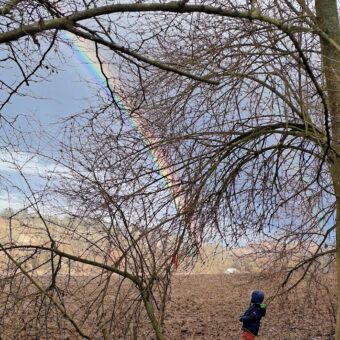 Komunitní život v&nbsp;naší školce